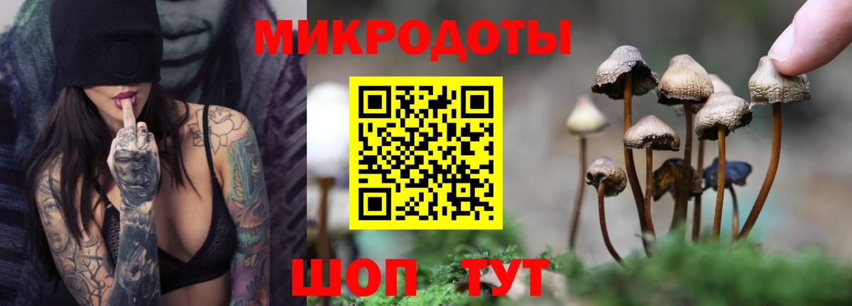 Псилоцибиновые грибы ЛСД  Вход с VPN  Галлюциногенные грибы Psilocybine cubensis  Качканар 